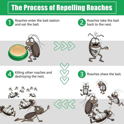 CleanNest Cockroach Killer Gel